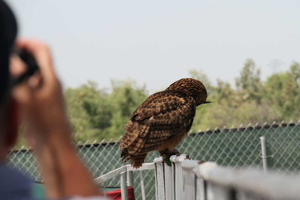 IMG_0670