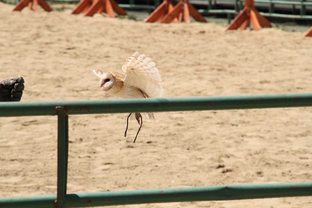 IMG_0731