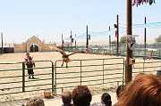 IMG_0683 