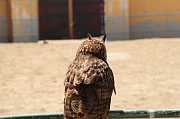 IMG_0720 