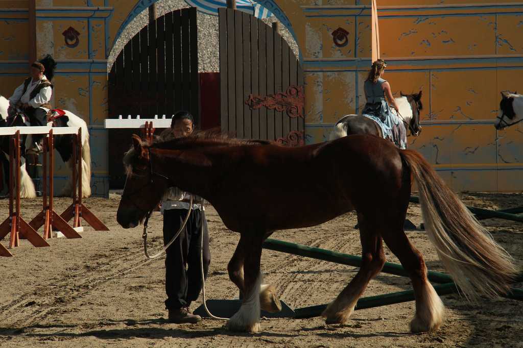 IMG_2977
