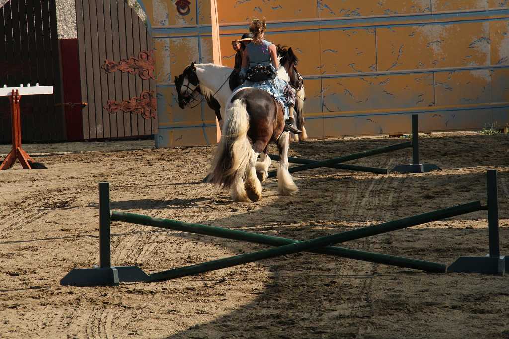 IMG_3046