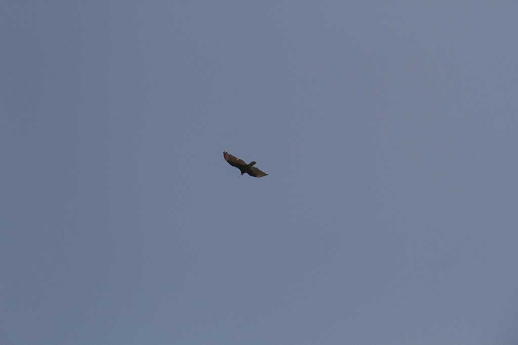 IMG_0026