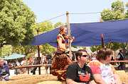 IMG_1401 