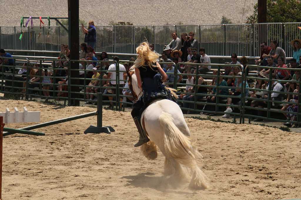 IMG_5493