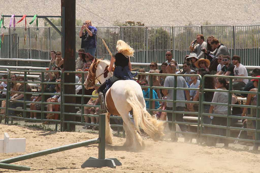 IMG_5550