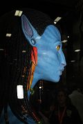 IMG_0069 