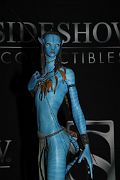 IMG_0070 