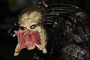 IMG_0076 