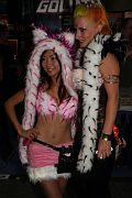 IMG_0041 