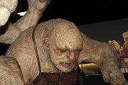 IMG_0176 