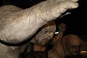 IMG_0177 