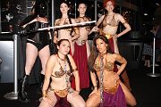 IMG_0319 