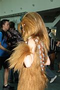 IMG_0871 