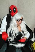 IMG_0950 