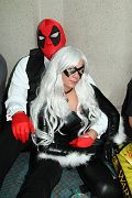 IMG_0951 
