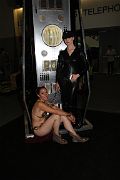 IMG_1012 