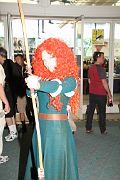 IMG_0337 