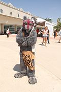 IMG_0373 