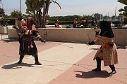 IMG_0387 