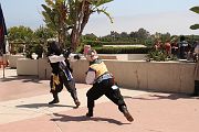 IMG_0421 