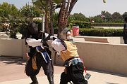 IMG_0433 