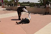 IMG_0447 