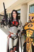 IMG_0531 