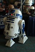 IMG_0545 