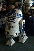 IMG_0546 