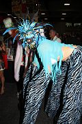 IMG_0567 
