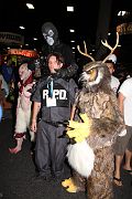 IMG_0652 