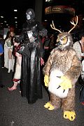 IMG_0654 