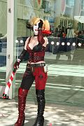IMG_0483 