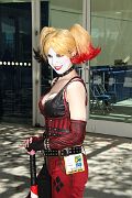 IMG_0484 