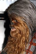 IMG_0521 