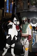 IMG_0528 