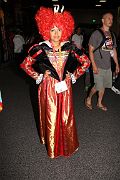 IMG_0538 