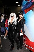 IMG_0553 