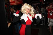 IMG_0558 