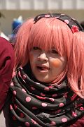 IMG_0245 