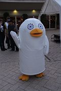 IMG_0436 