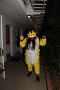 IMG_0464 