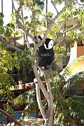 IMG_0105 