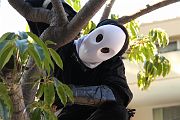 IMG_0108 