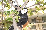 IMG_0110 