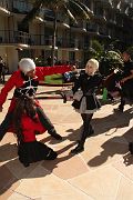 IMG_0431 