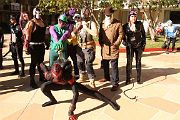 IMG_0492 