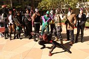 IMG_0497 