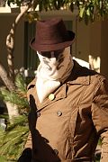 IMG_0501 
